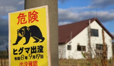 Bear goes on rampage in Japan, injuring four people