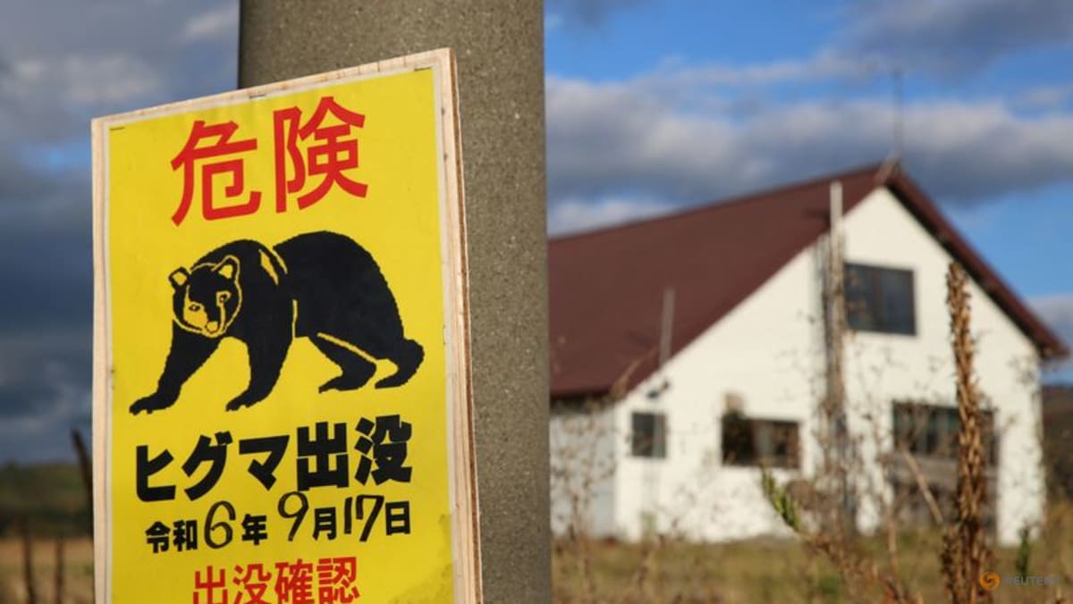 Bear goes on rampage in Japan, injuring four people