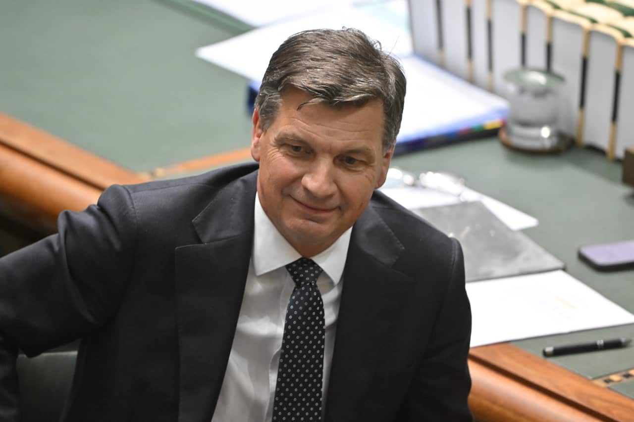 Angus Taylor in a black suit in the House of Representatives 