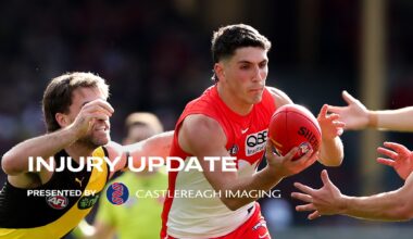 Injury Update: Round 13