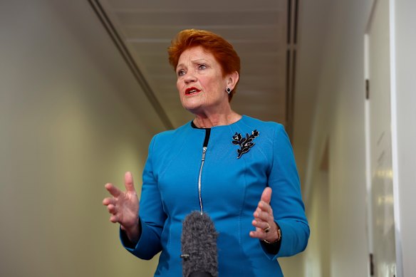 One Nation Leader Pauline Hanson.