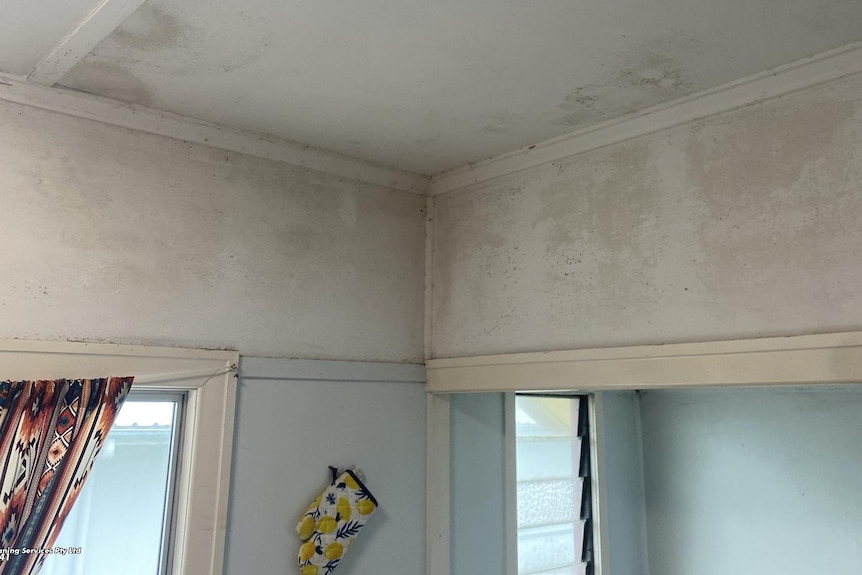 A room with grey-green mould on the ceiling and walls.