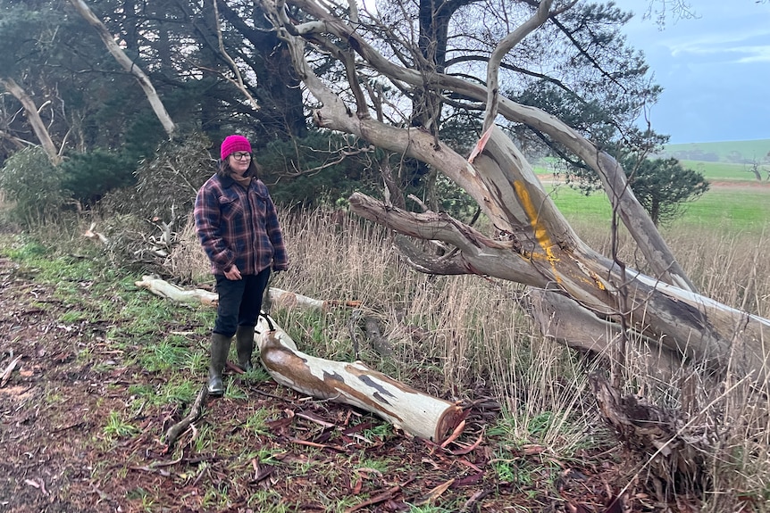 A woman in a beanie and glasses stands next to a tree which has been chopped down after it fell.