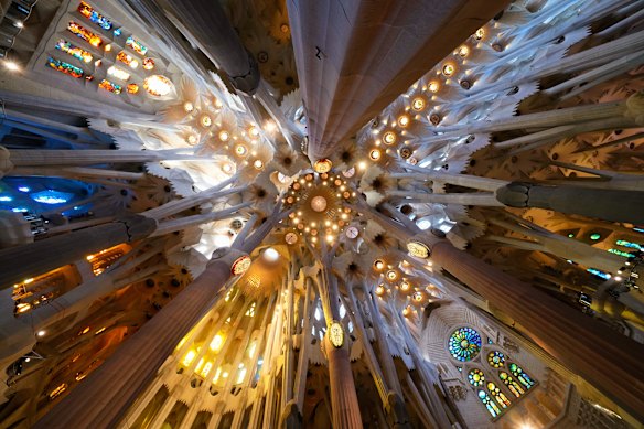 The ceiling at the Basilica of the Sagrada Familia.