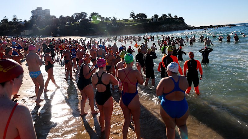Coogee shark attack: Community returns to the ocean in honour of attack victim