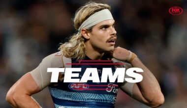 AFL Teams Round 15 2026