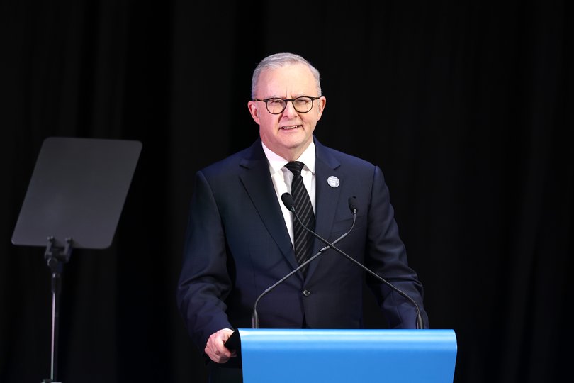 Anthony Albanese spoke during Neale Daniher’s State funeral.