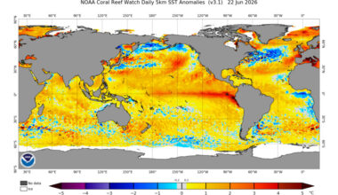 Earth's oceans hit record temperatures as El Niño strengthens