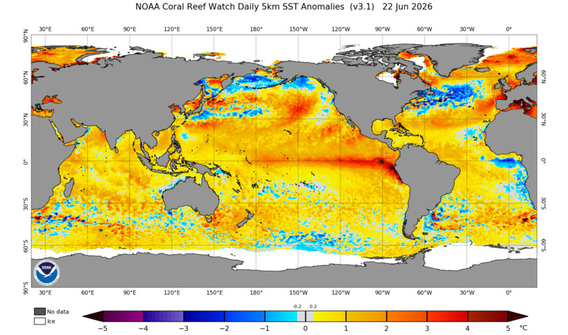 Earth's oceans hit record temperatures as El Niño strengthens