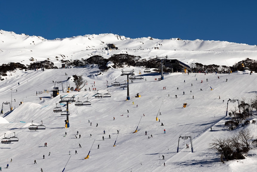 skiers on the mountain at Perisher