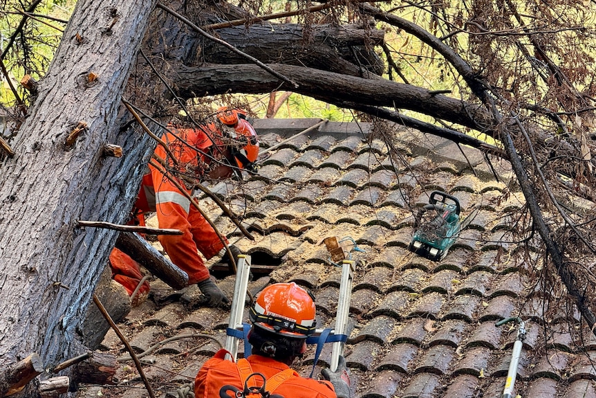 SES crews repairing a hole in a roof of a home