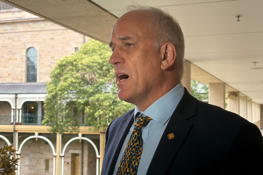 Queensland mp nigel dalton