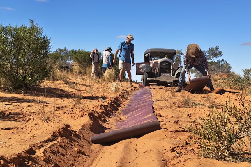 A man lays down a long skinny mat on a sandy wheel track. A Studebaker and blue sky is in the back.