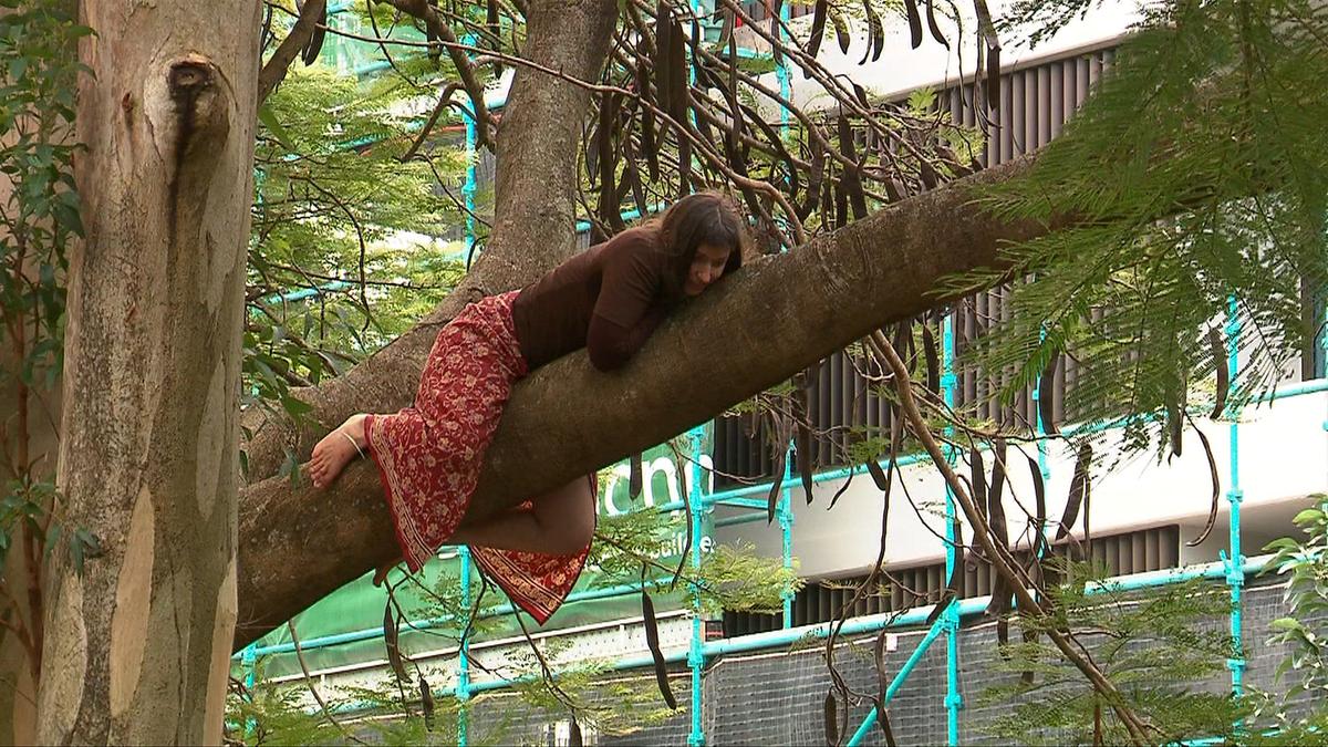 Woman spends night in tree as tense standoff at Brisbane’s Kurilpa community garden continues