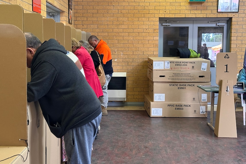 People stand at voting booths at a pre-polling centre.