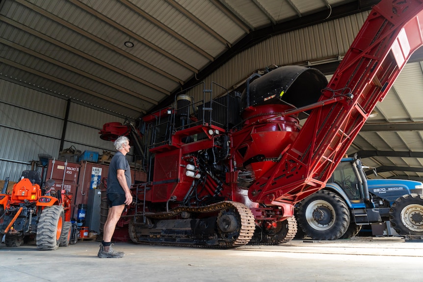 A man looks up at a large cane harvester.
