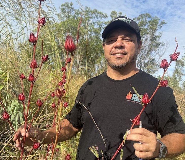Rare rosella lands from hand picked to plate in 16 ...