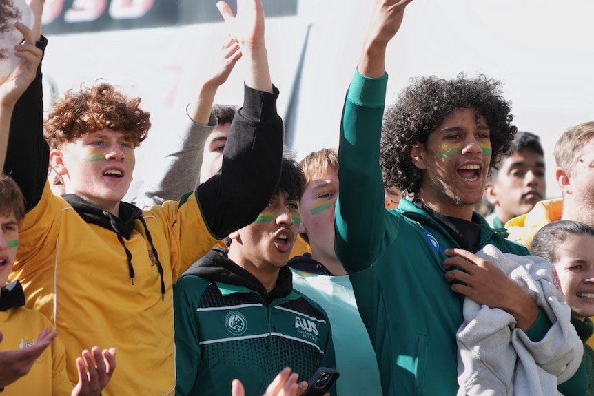 Closeup of three fans in green and gold