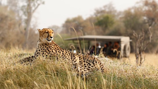 Safaris are not all the same… do your homework.
