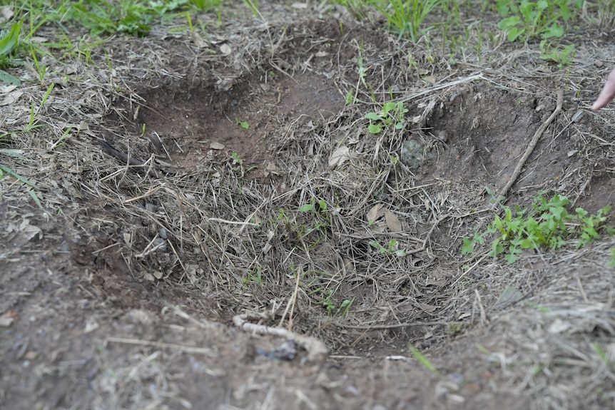 A grassy hole where a historic mile peg once stood.