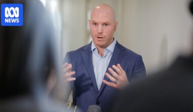 Senior Albanese minister clashes with Pocock over top-secret AI copyright claim
