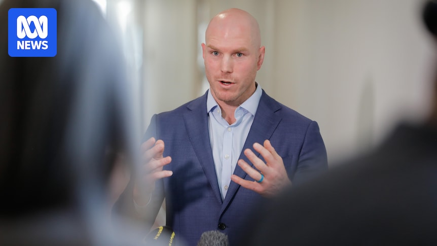 Senior Albanese minister clashes with Pocock over top-secret AI copyright claim