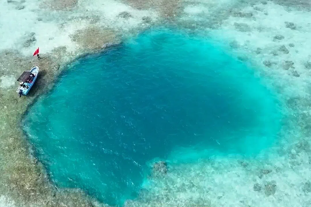 Rare coral reef blue hole found in South China Sea