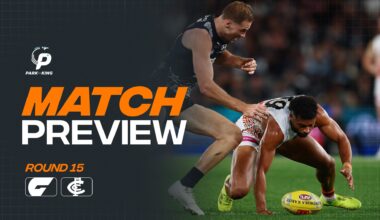 AFL Match Preview: Round 15 v Blues