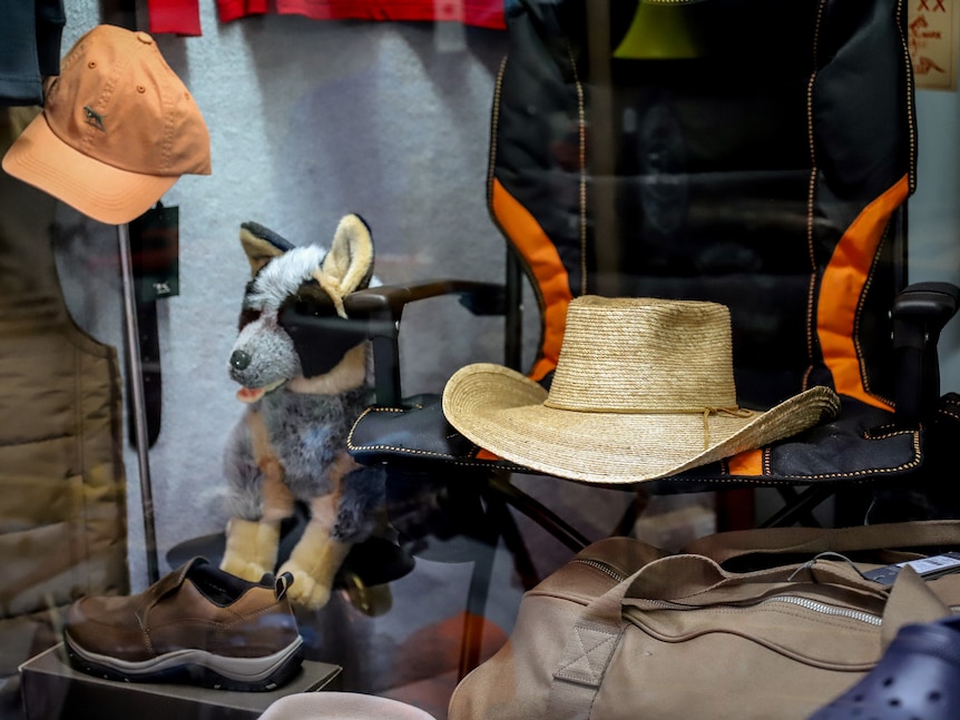 Behind glass a shop front display shows a plush toy dog in blue heeler colours, alongside clothing and hats.