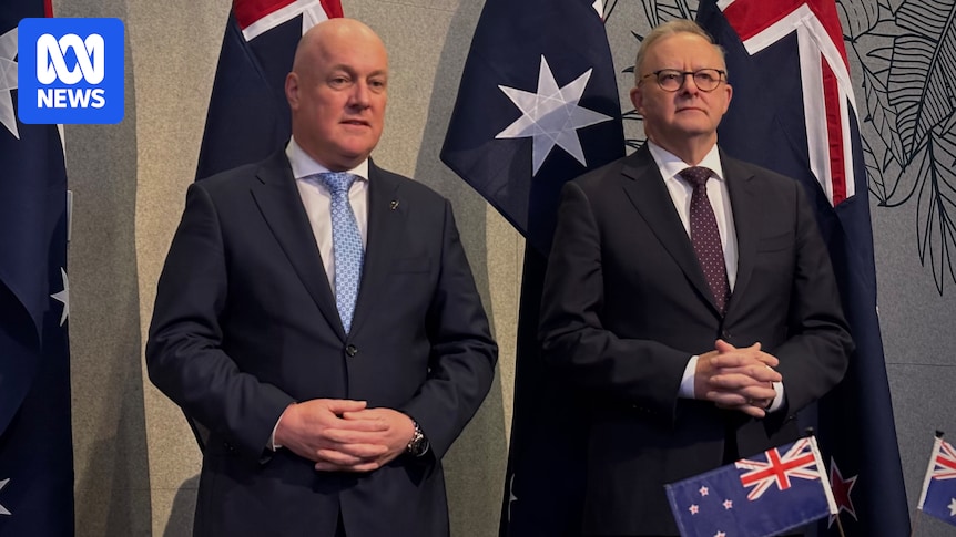 Prime Minister Anthony Albanese says New Zealand friendship is important to endure volatile world