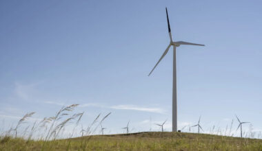 A Single Black Wind Turbine Blade Is Having A Breakthrough Effect On Bird Collisions