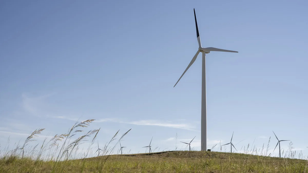 A Single Black Wind Turbine Blade Is Having A Breakthrough Effect On Bird Collisions