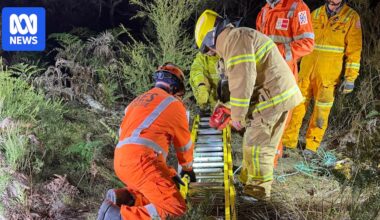 Resident rescued after falling into deep hole while helping kangaroo on Raymond Island