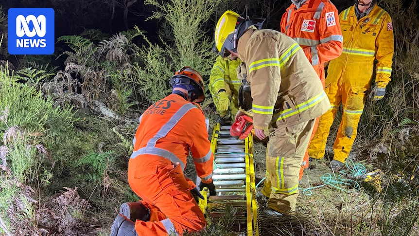 Resident rescued after falling into deep hole while helping kangaroo on Raymond Island