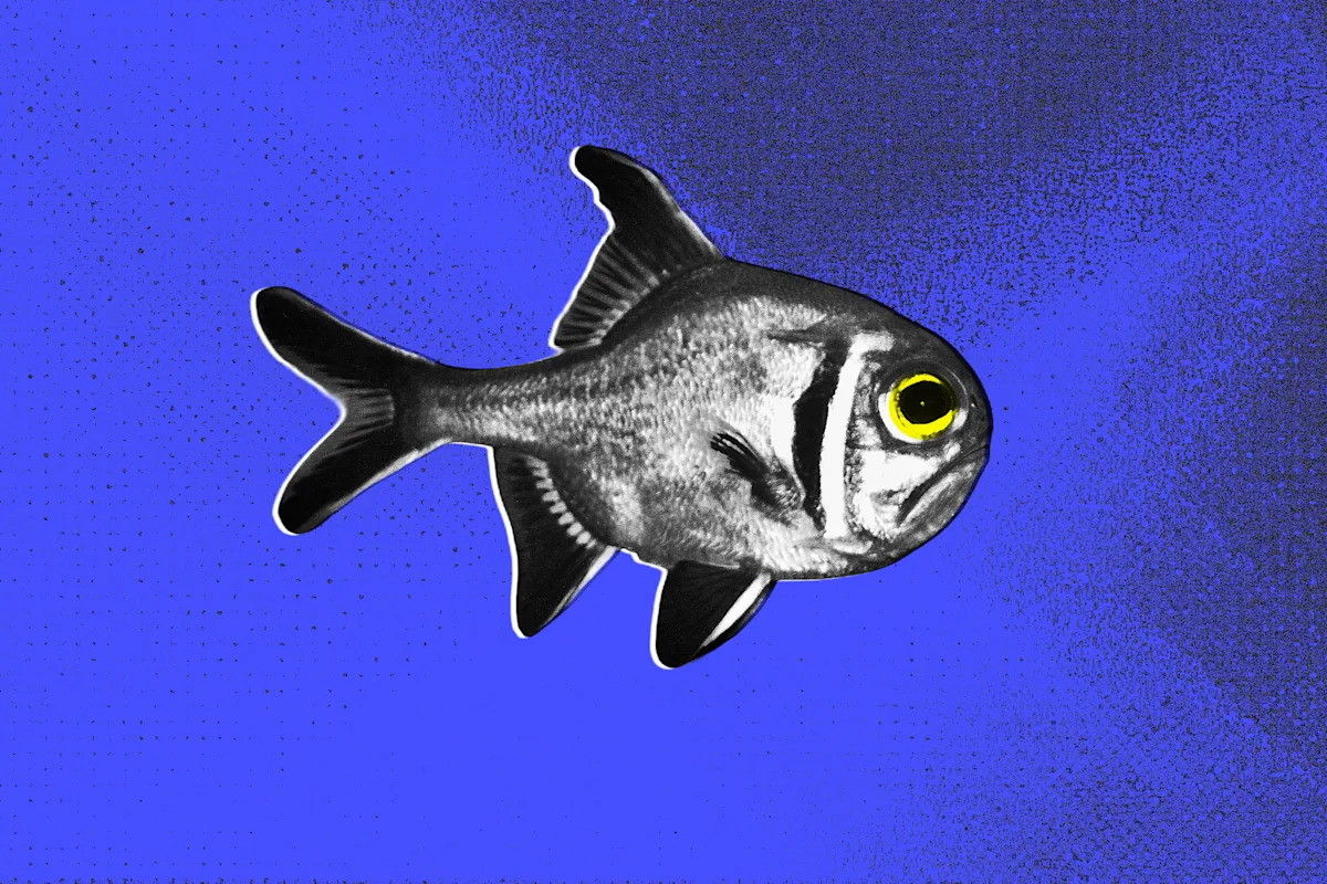 Light Pollution is Causing Fish to Live Miserable, Bitter Lives, Researchers Find