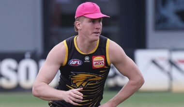 Harry Edwards: West Coast Eagles defender’s future in hands of concussion panel