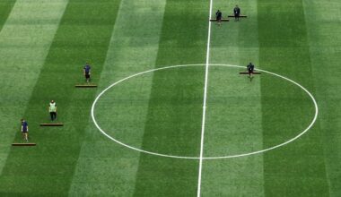 Football: Soccer-Pitch not perfect: World Cup players find weirdness underfoot on innovative grass