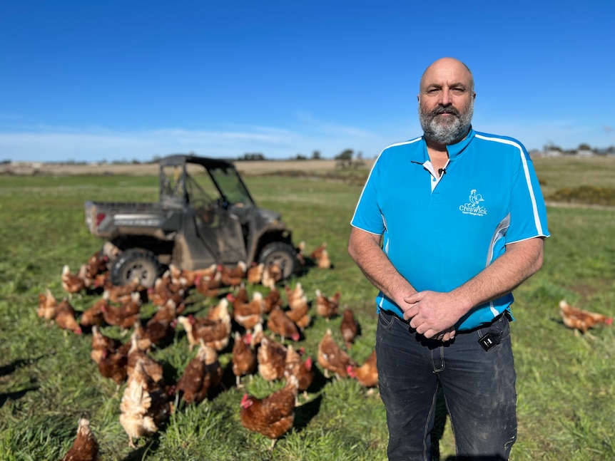 a man is standing in a field with chooks