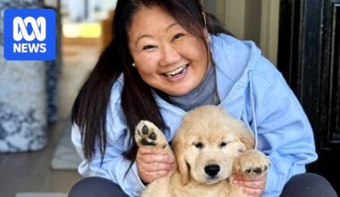 RecipeTin Eats founder Nagi adopts new canine companion