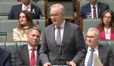 Prime Minister Anthony Albanese responds to negative gearing question with jab at independent MP Dai Le