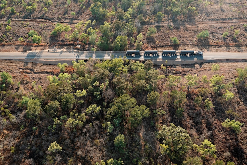 A road train travels along a tree-lined road from the McArthur River Mine to the Bing Bong port.