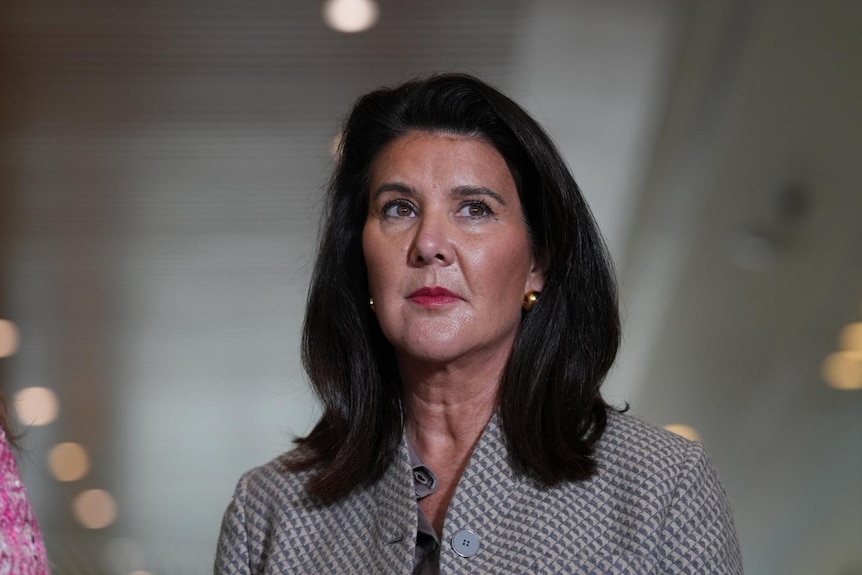Liberal senator Jane Hume looks pensive at a press conference.