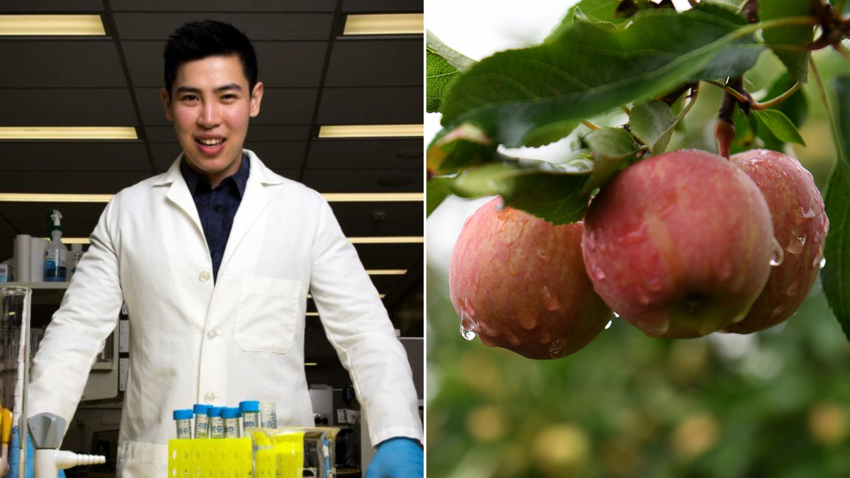 Aussie doctor hits it big in US as apple supplements make millions