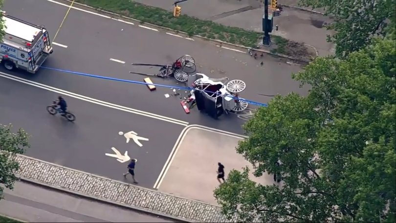 A horse-drawn carriage bolted and overturned in New York City's Central Park on Wednesday
