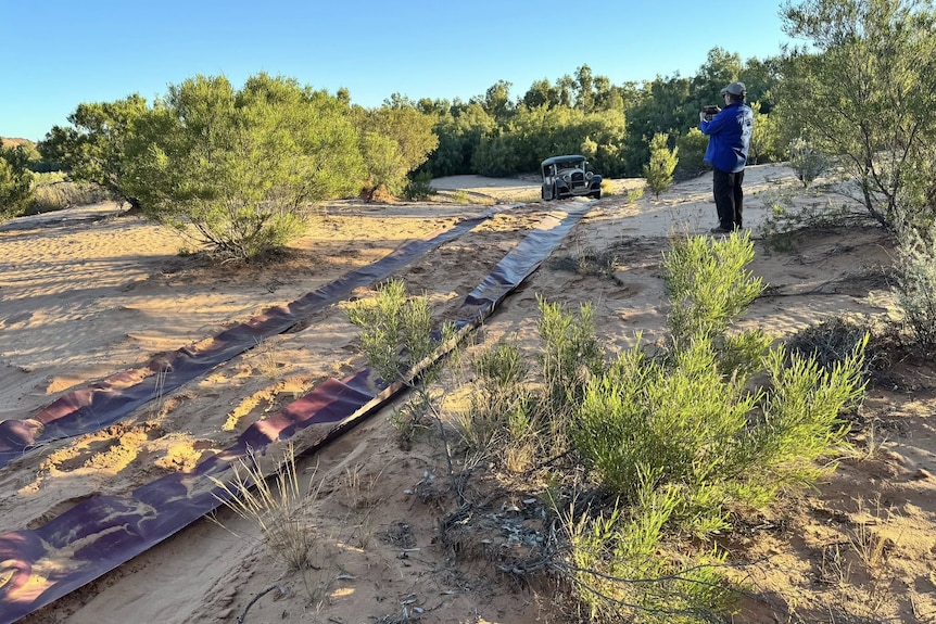 A man photographs the vintage car driving through deep sand on two strips of mat in the desert.