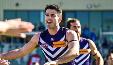 Fremantle Dockers star Andrew Brayshaw says footy is fun amid a barnstorming first half of the AFL season