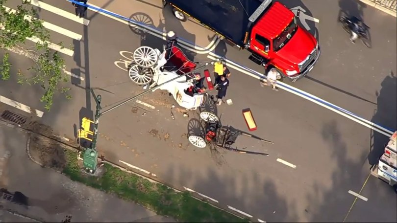 A horse-drawn carriage bolted and overturned in New York City's Central Park on Wednesday, killing an 18-year-old tourist. 