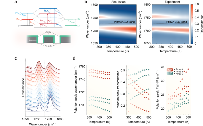Fig. 5: Near-field vibrational strong coupling realized with dynamically tunable metasurfaces.