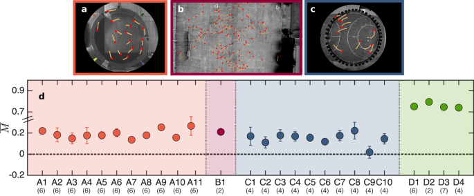 Individual locomotor bias drives counterclockwise motion in pedestrian crowds