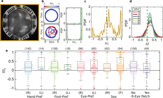 Fig. 8: Rotational motion of individuals.